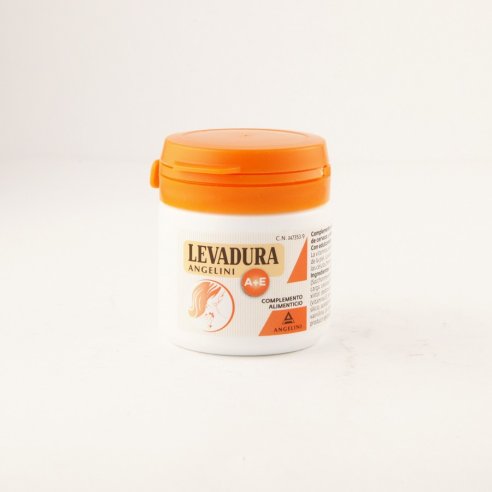 LEVADURA AE ANGELINI 60 COMP