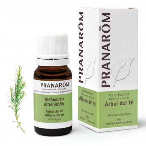 PRANAROM ARBOL DEL TE 10 ML