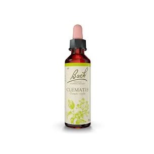 FLORES DE BACH CLEMATIS ORIGINAL 20ML
