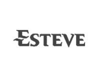 ESTEVE PHARMACEUTICALS S.A.